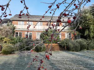 Ferienwohnungen Gartenseite